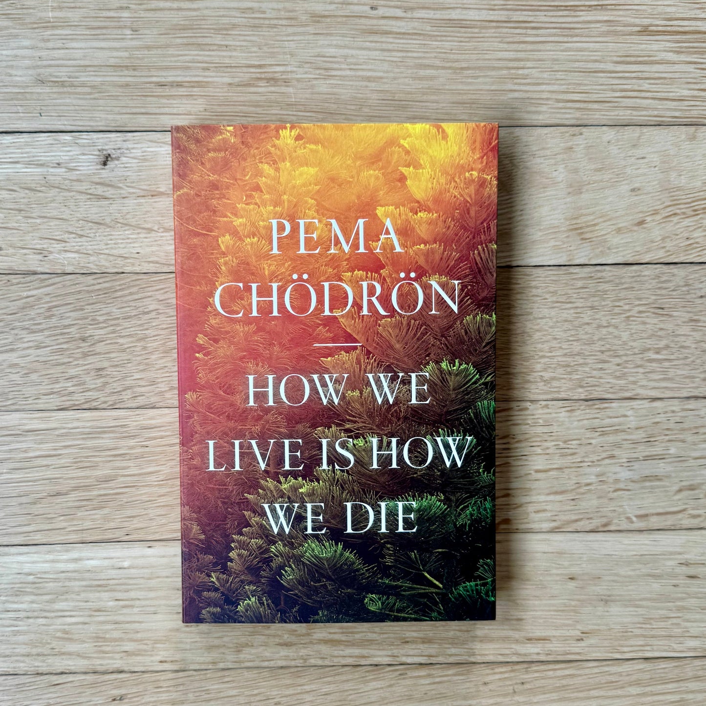 How We Live Is How We Die