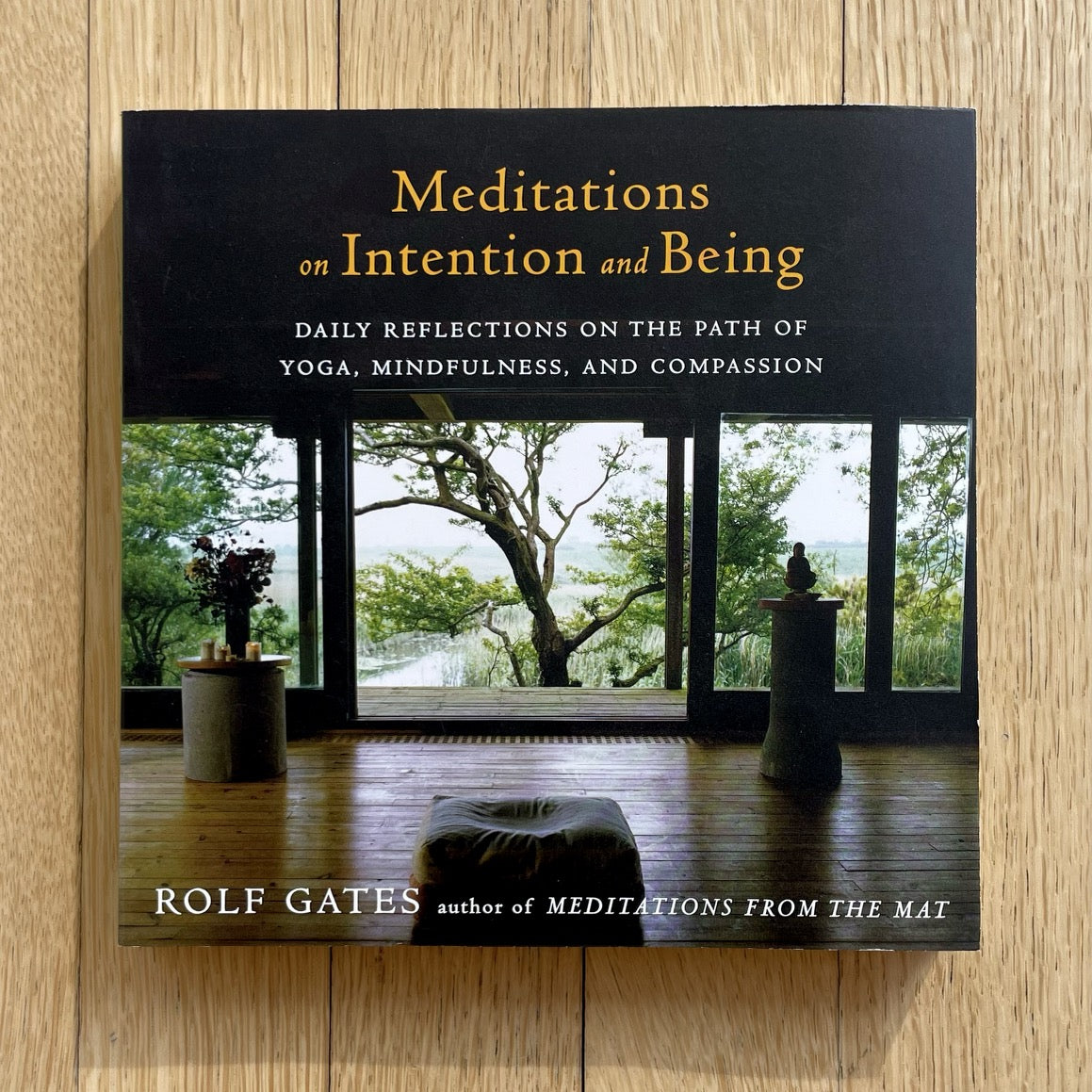 Meditations on Intention and Being: Daily Reflections on the Path of Yoga, Mindfulness, and Compassion