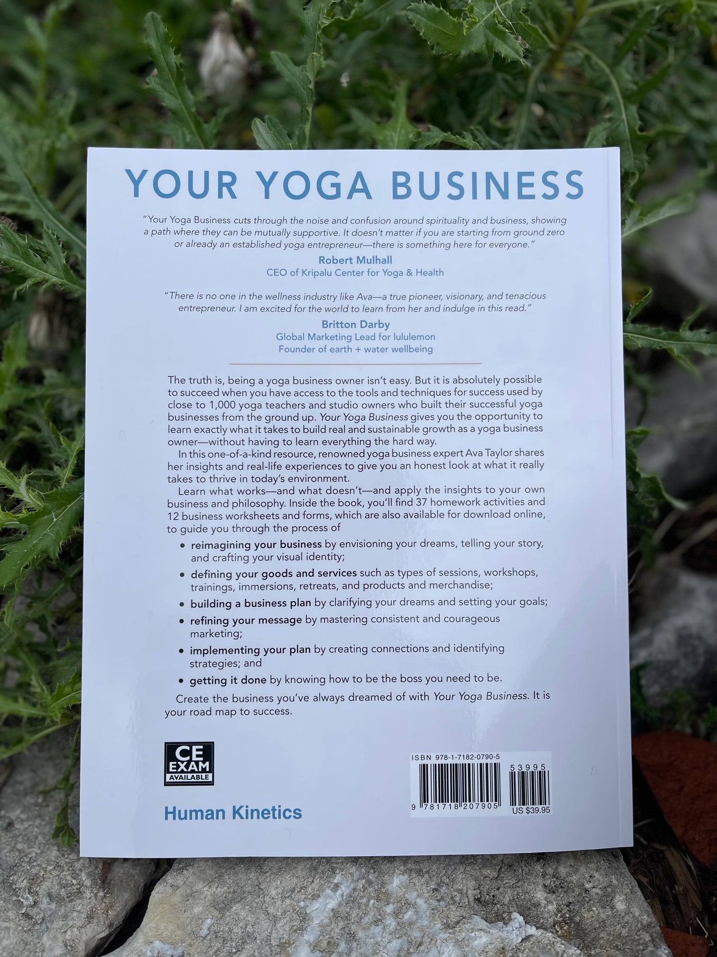 Your Yoga Business