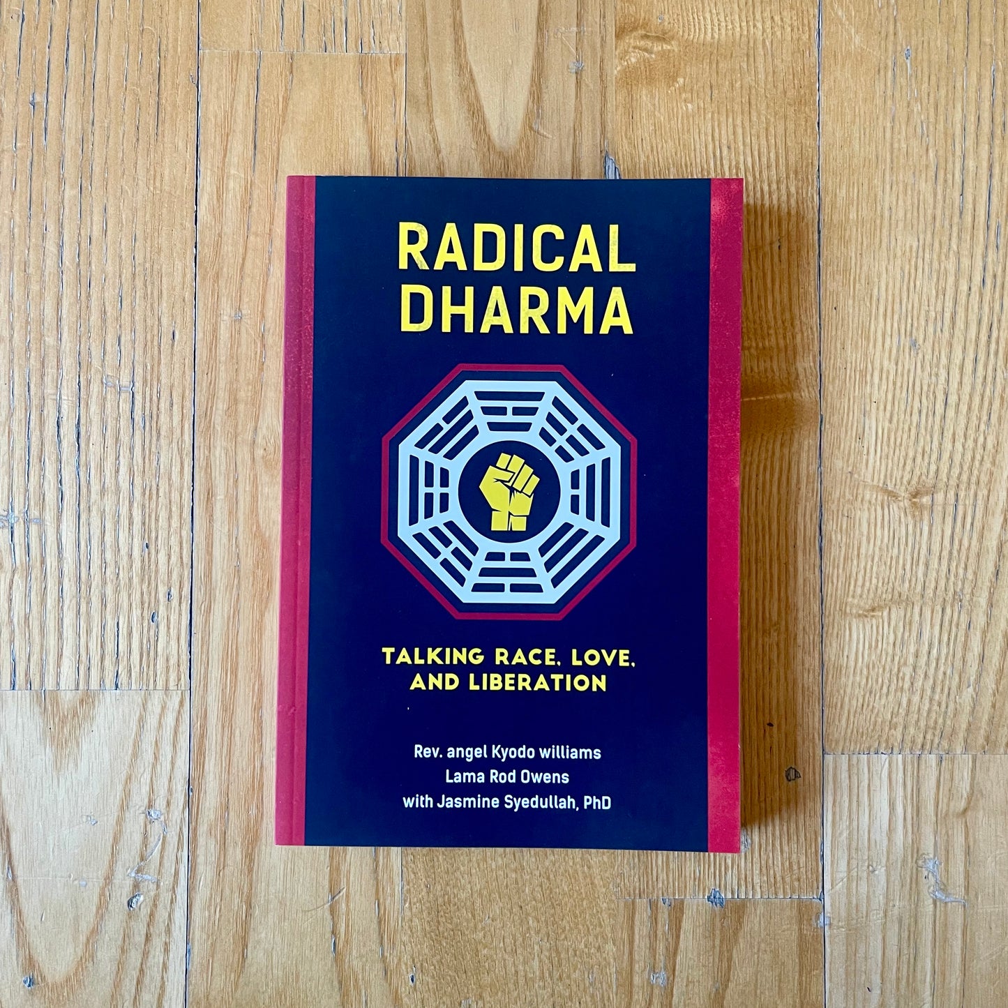 Radical Dharma: Talking Race, Love and Liberation