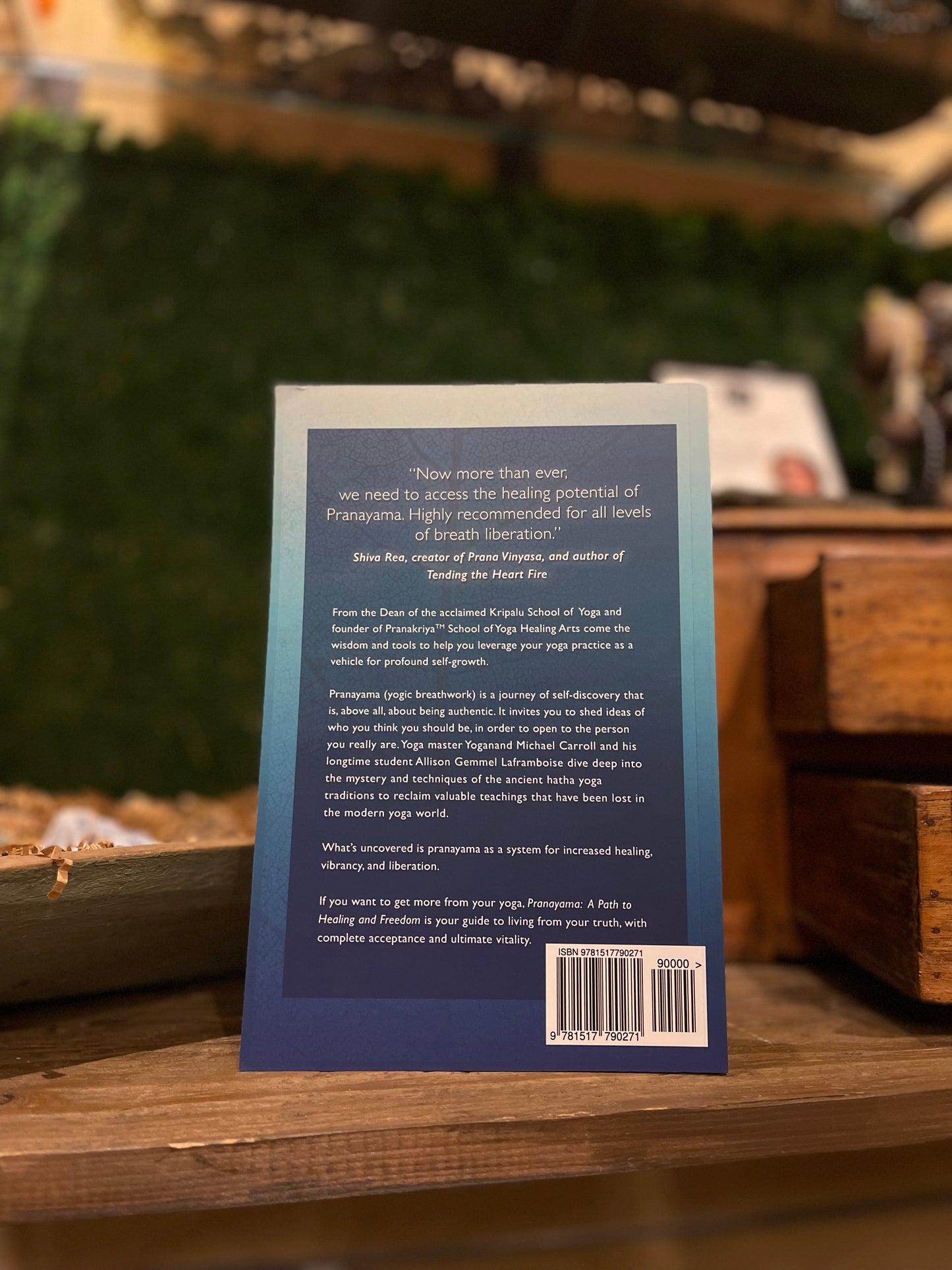 Pranayama - A Path To Healing and Freedom