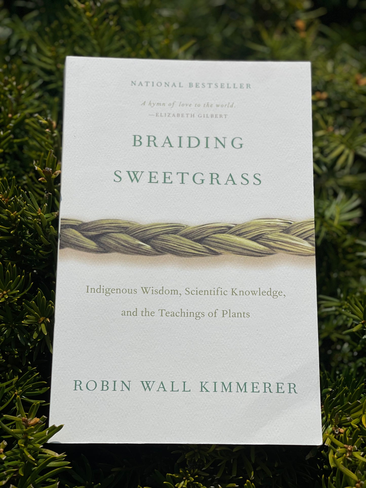 Braiding Sweetgrass - Signed Copy
