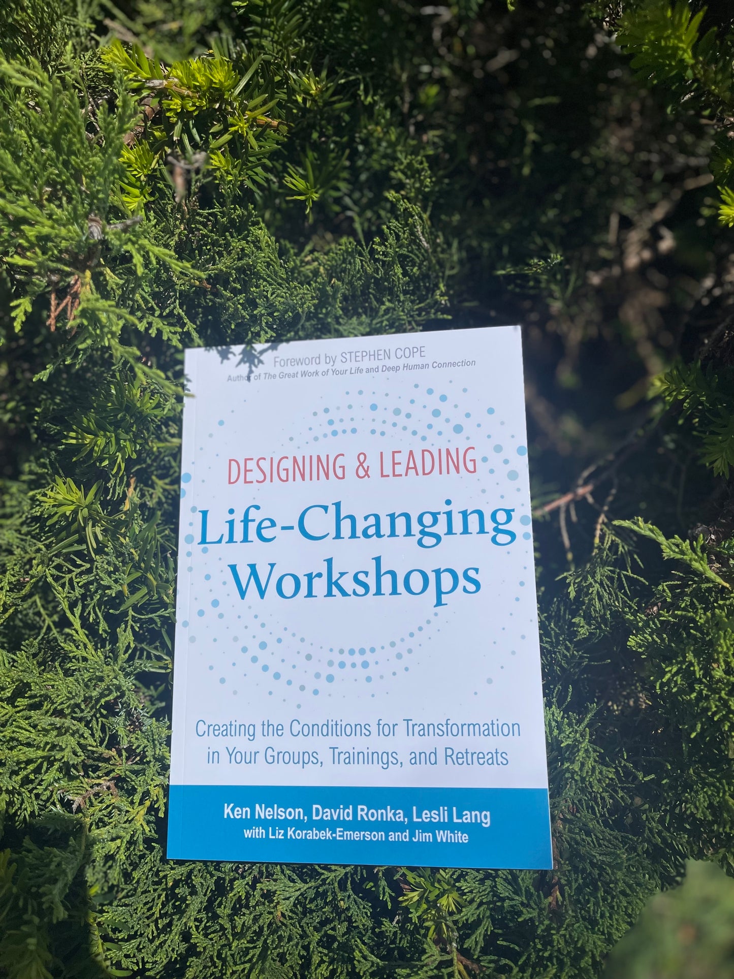 Designing and Leading Life-Changing Workshops